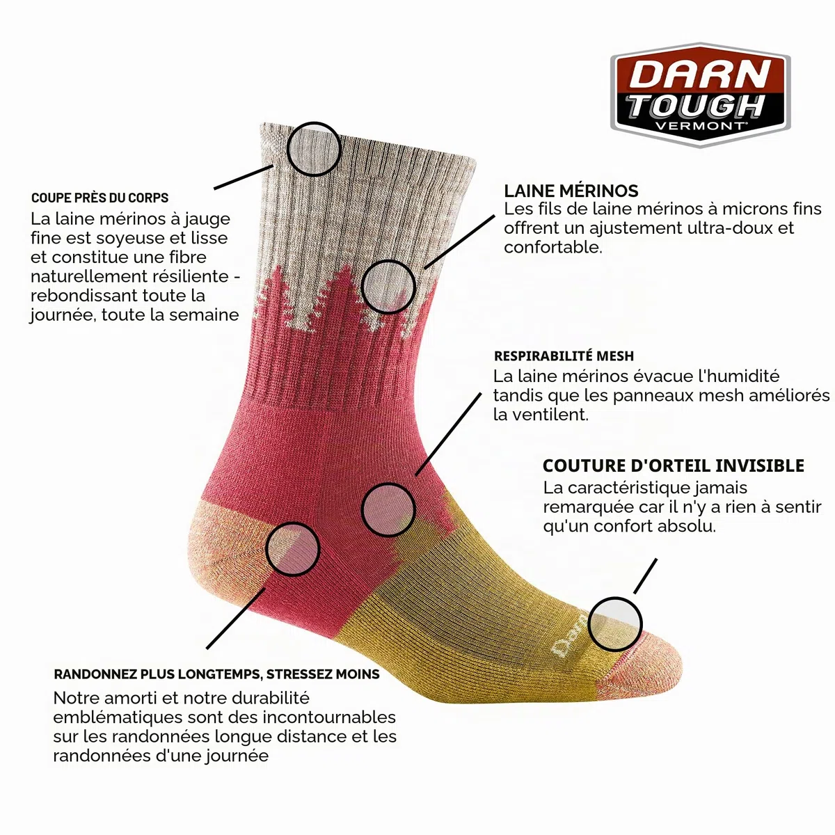 Darn Tough Treeline Micro Crew Midweight With Cushion Chaussettes Femme (lot de 1)