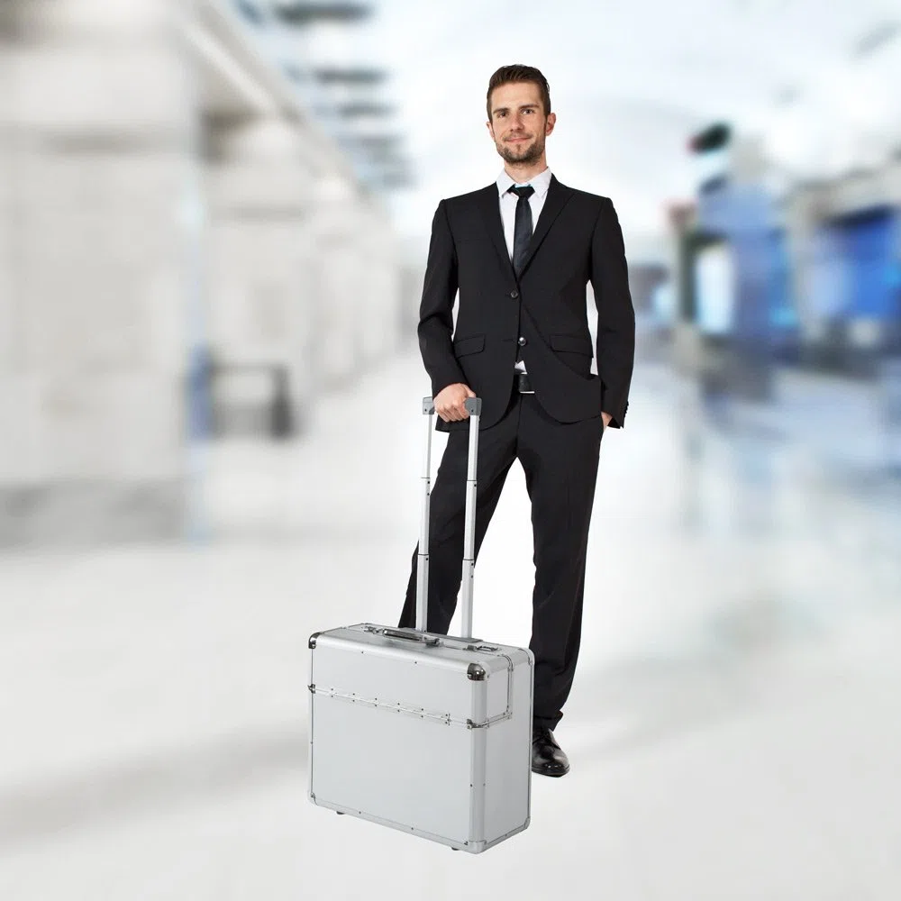 tectake 401232 XL Pilot Case Trolley Valise Mallette de Pilote, Deux Serrures à Combinaison, Grand Compartiment Principal Spacieux, Argent